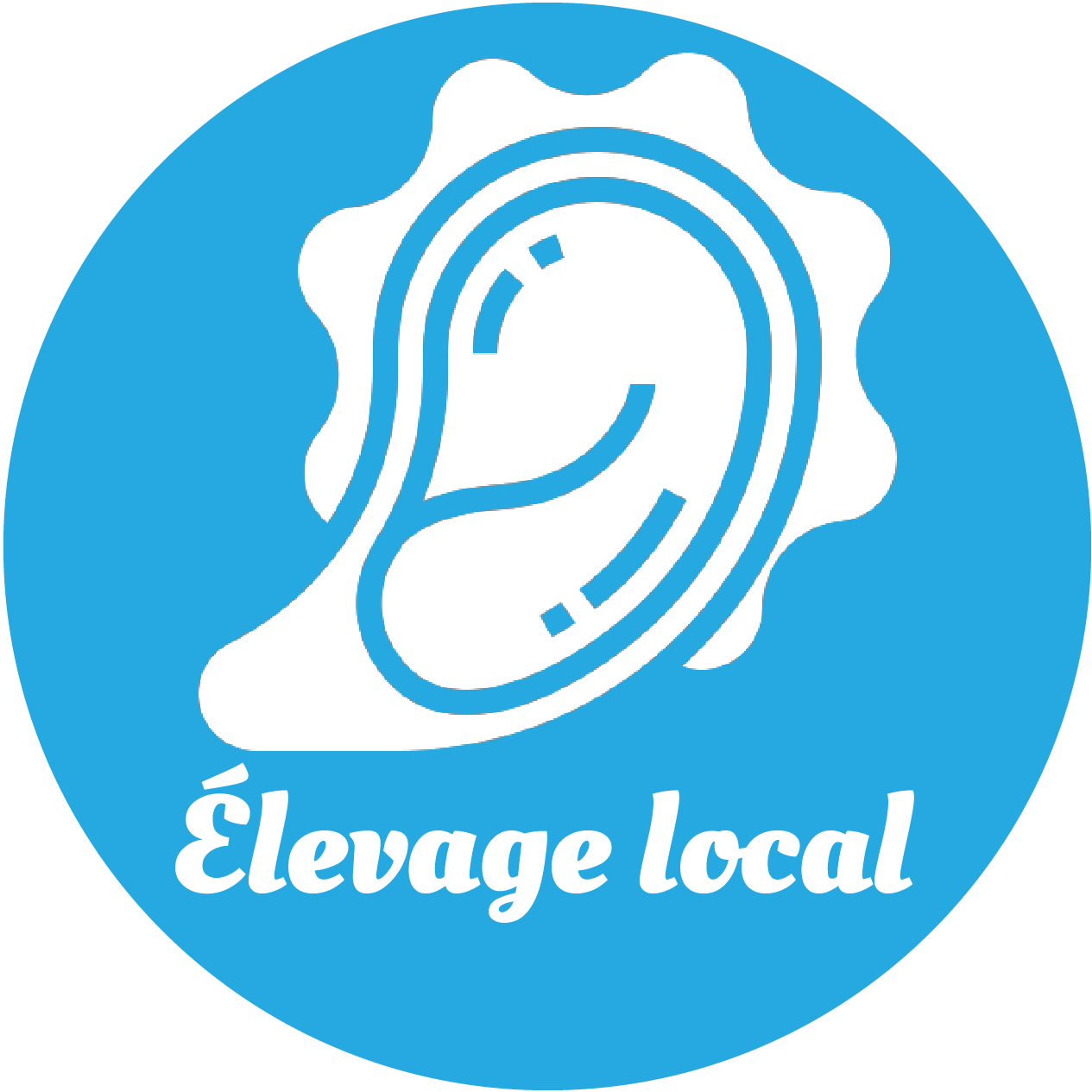 élevage local