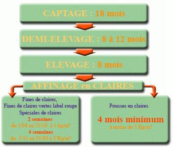 captage de naissance